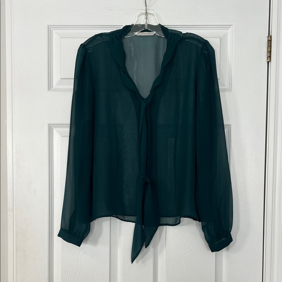 Peter Nygard Tops - Peter Nygard Deep Teal sheer Blouse